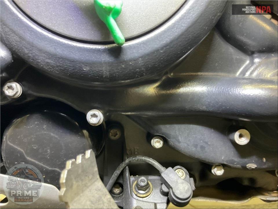 2022 Harley-Davidson RA1250S PAN AMERICA 1250 SPECIAL — фото 10