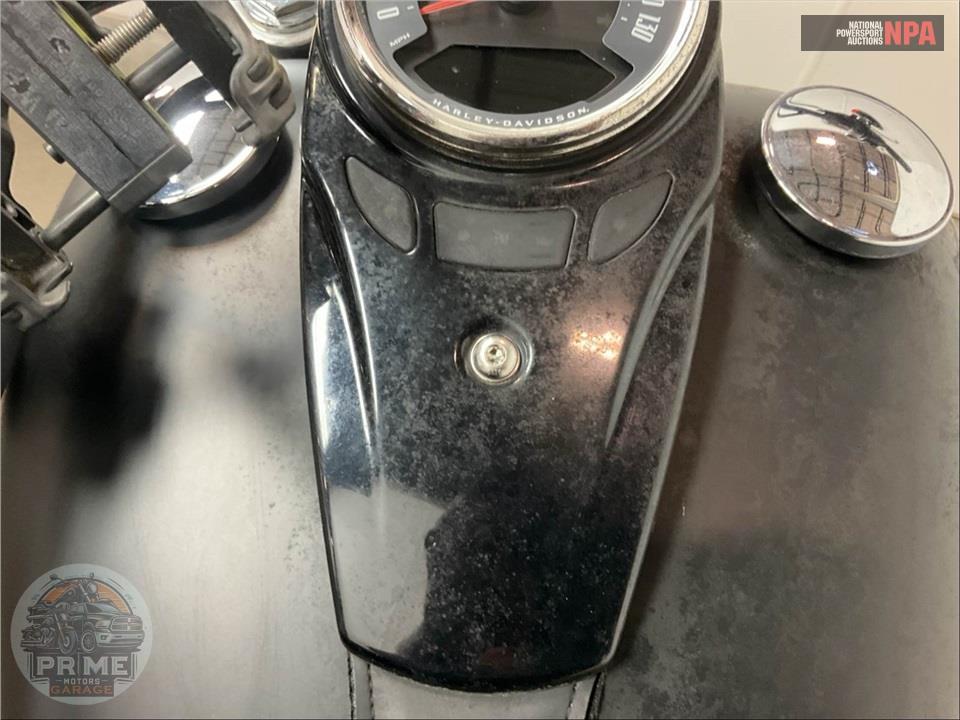 2018 Harley-Davidson FLSL SOFTTAIL SLIM — фото 18