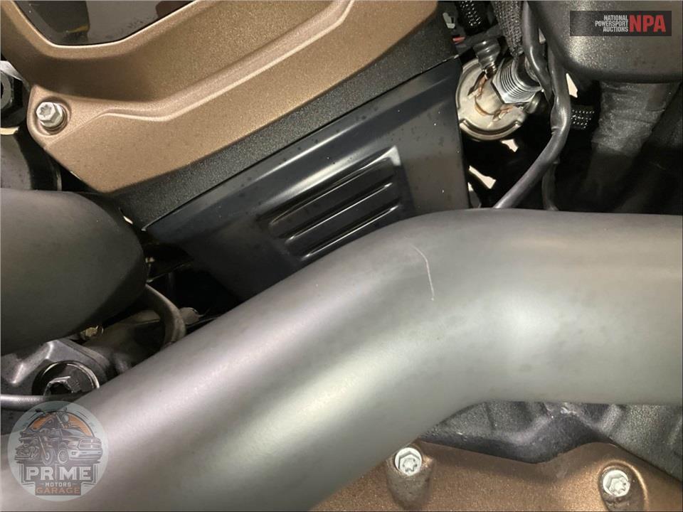 2021 Harley-Davidson RH1250S SPORTSTER S — фото 10
