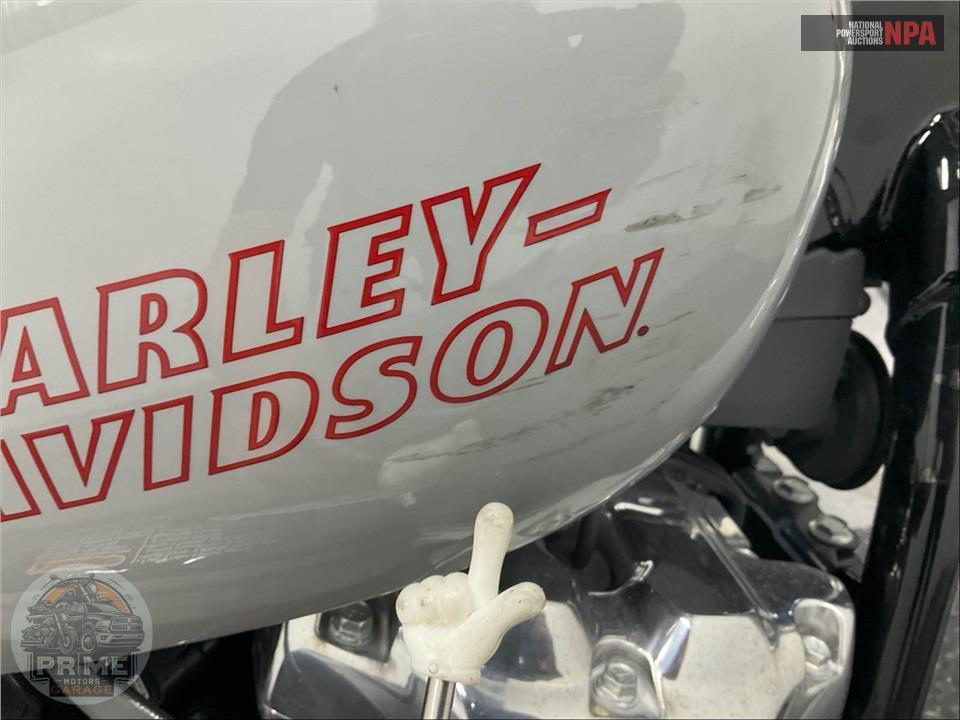 2024 Harley-Davidson FXST SOFTAIL STANDARD — фото 17