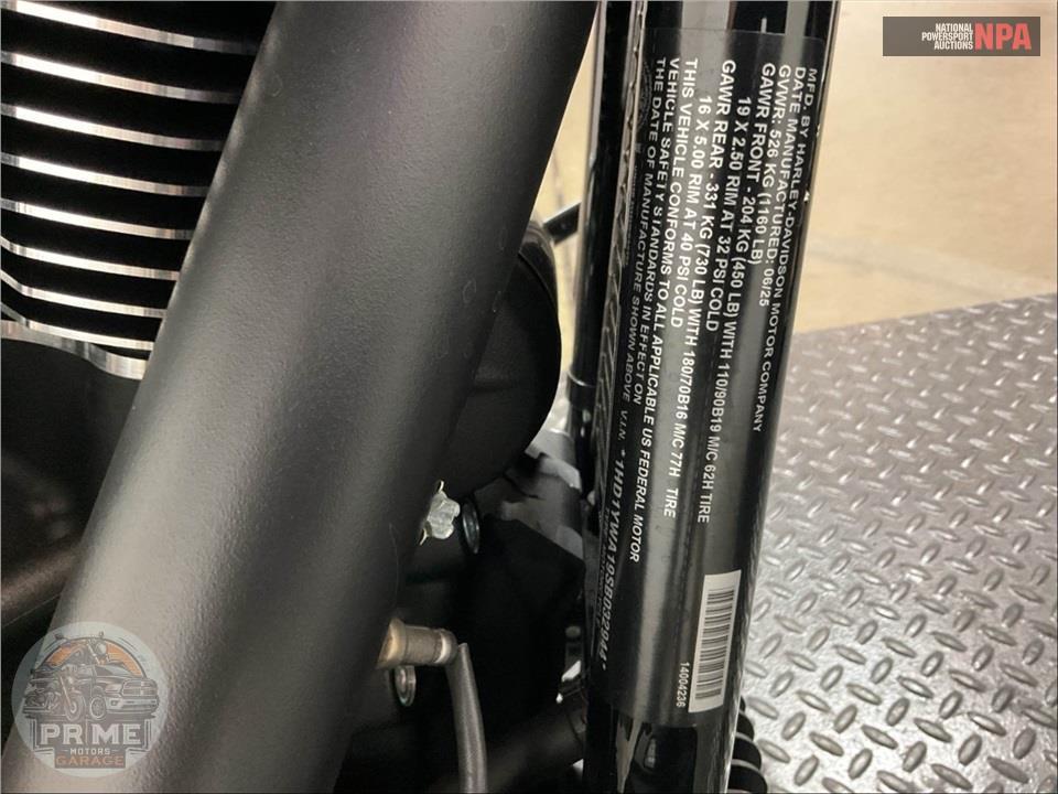 2025 Harley-Davidson FXLRS LOW RIDER S — фото 16