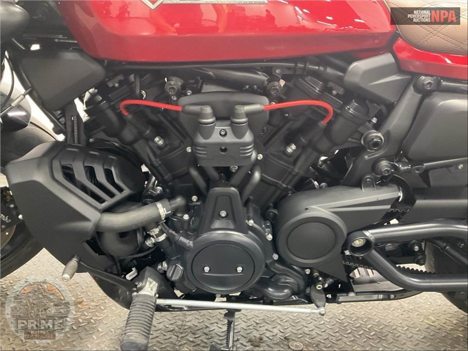 2025 Harley-Davidson RH1250S SPORTSTER S — фото 7