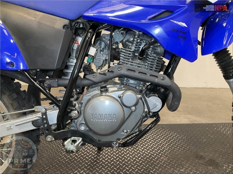 2025 Yamaha TT-R230 — фото 6