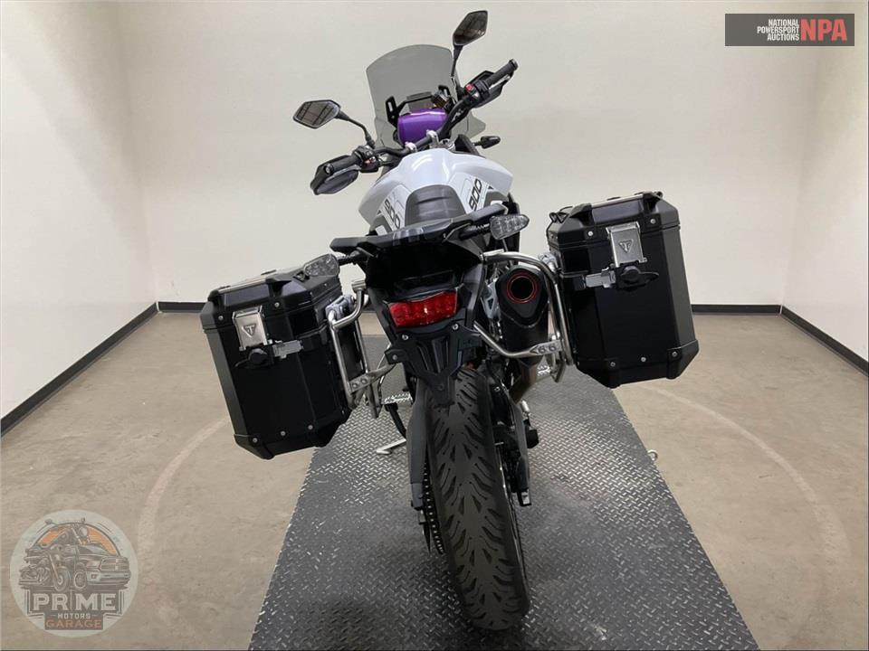 2024 Triumph TIGER 900 GT PRO — фото 4