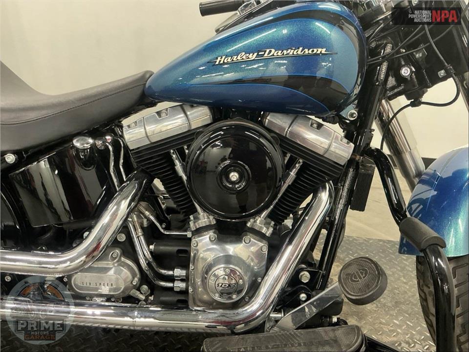 2014 Harley-Davidson FLS SOFTAIL SLIM — фото 6