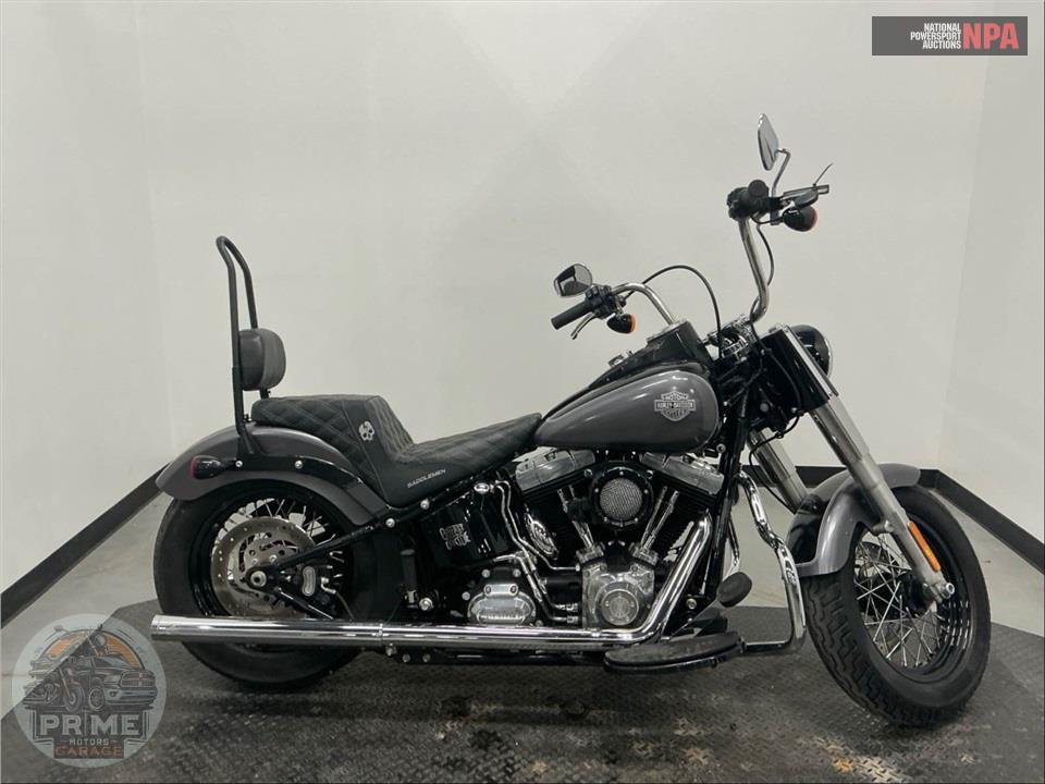 2016 Harley-Davidson FLS SOFTAIL SLIM — фото 1