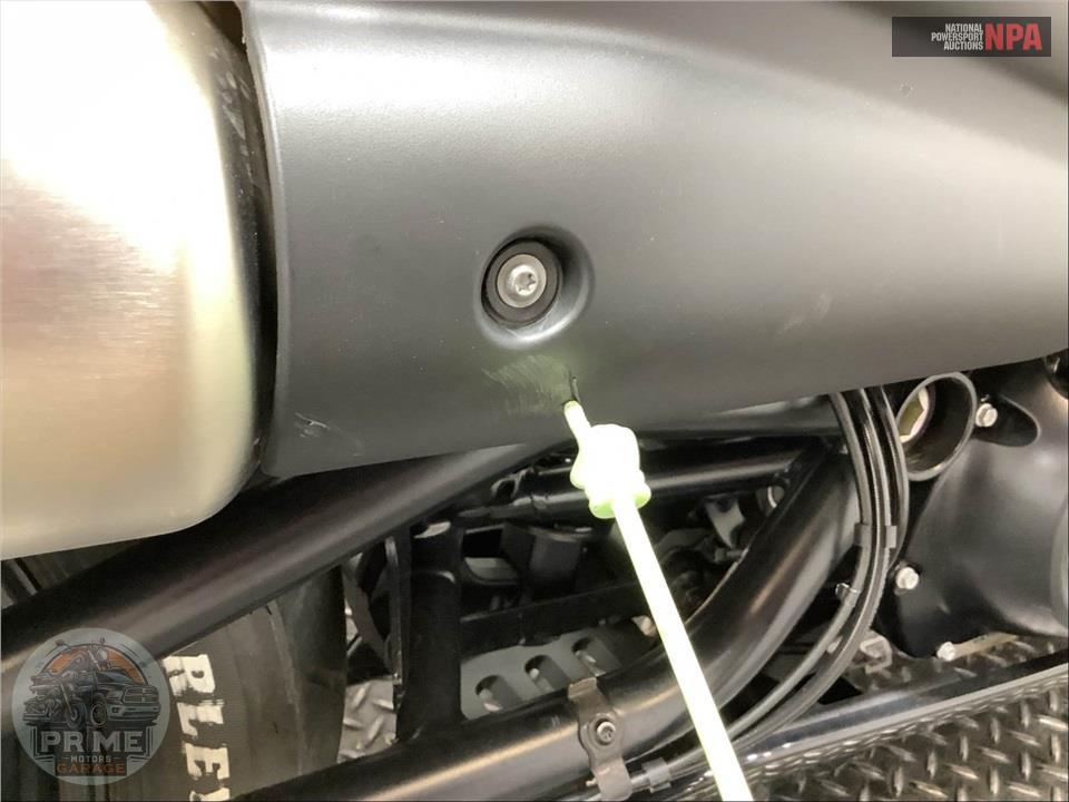 2025 Harley-Davidson RH1250S SPORTSTER S — фото 11