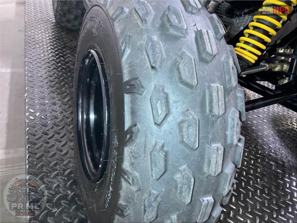 2025 Can-Am RENEGADE 110 EFI — фото 25