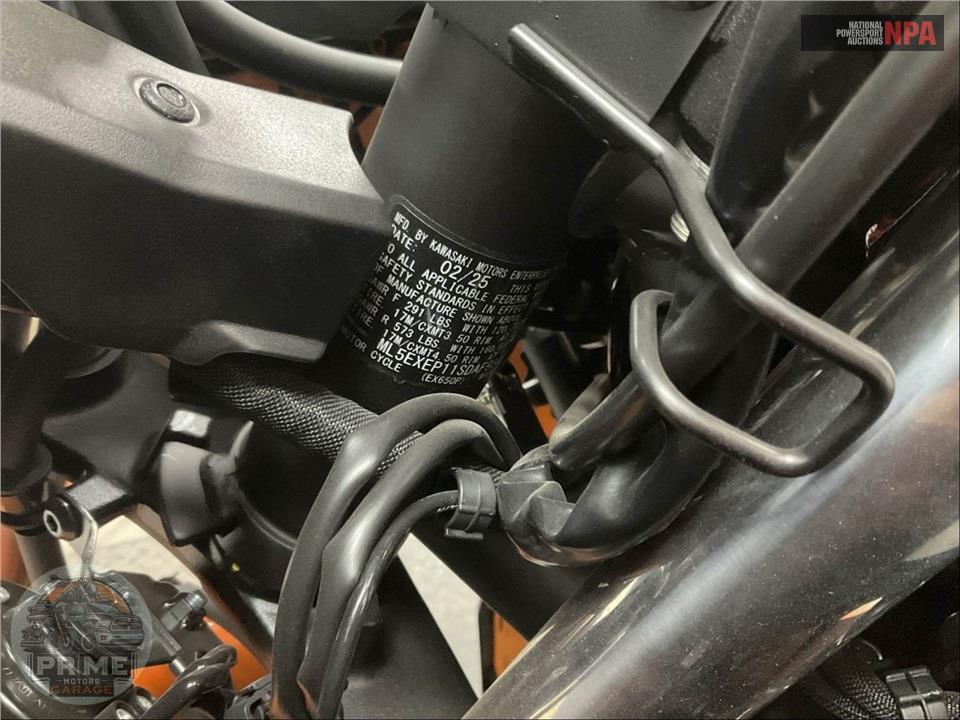2025 Kawasaki EX650PSFAL NINJA 650 ABS — фото 17