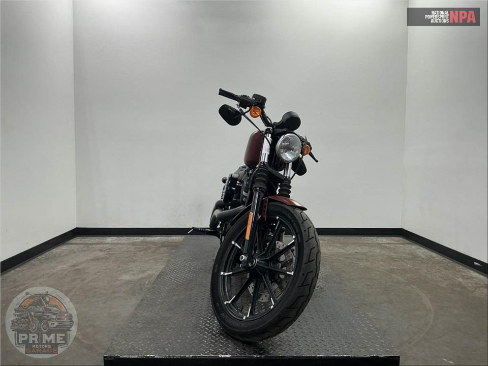 2017 Harley-Davidson XL883N IRON — фото 2