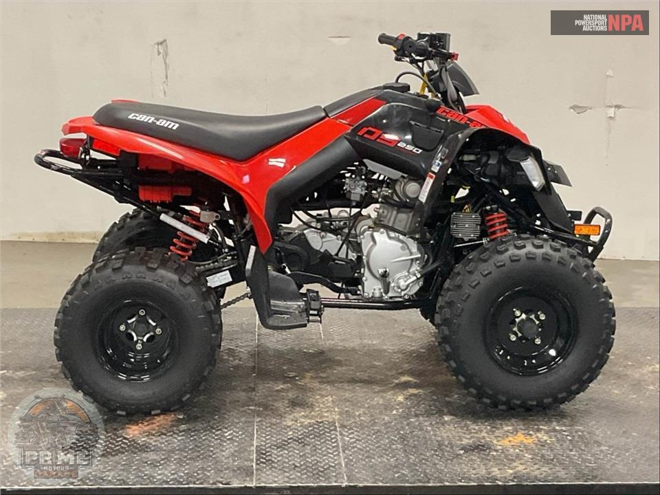 2025 Can-Am DS 250 — фото 1