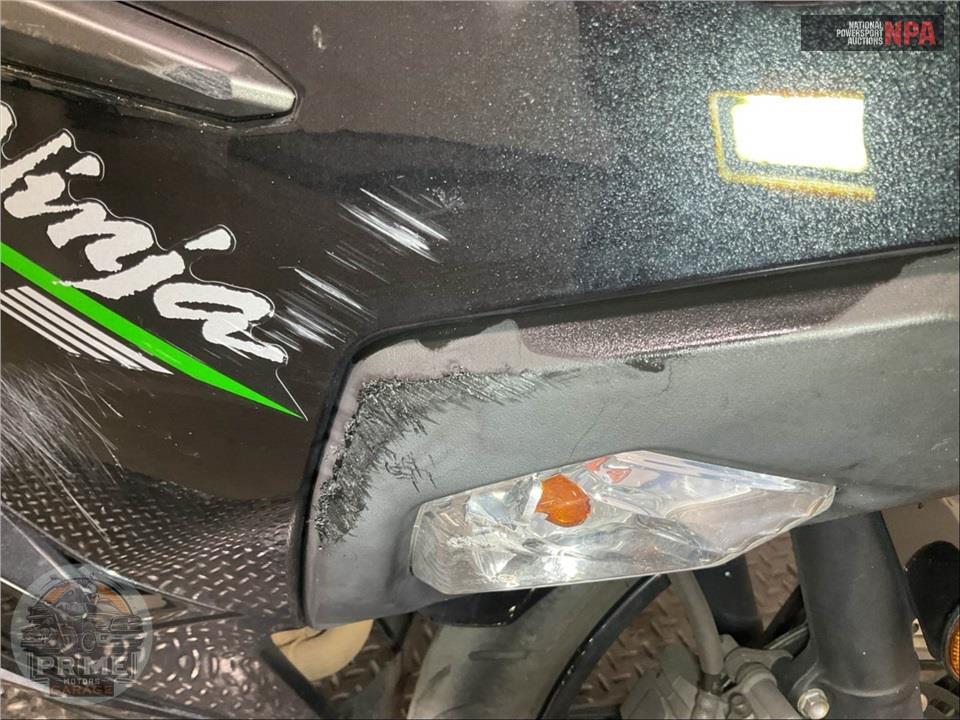 2024 Kawasaki EX500HRFNL NINJA 500 — фото 15