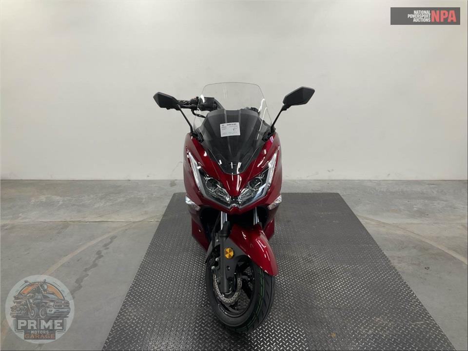 2023 Zhejiang Riya Motorcycle Co, Ltd HURRICANE 300 — фото 2
