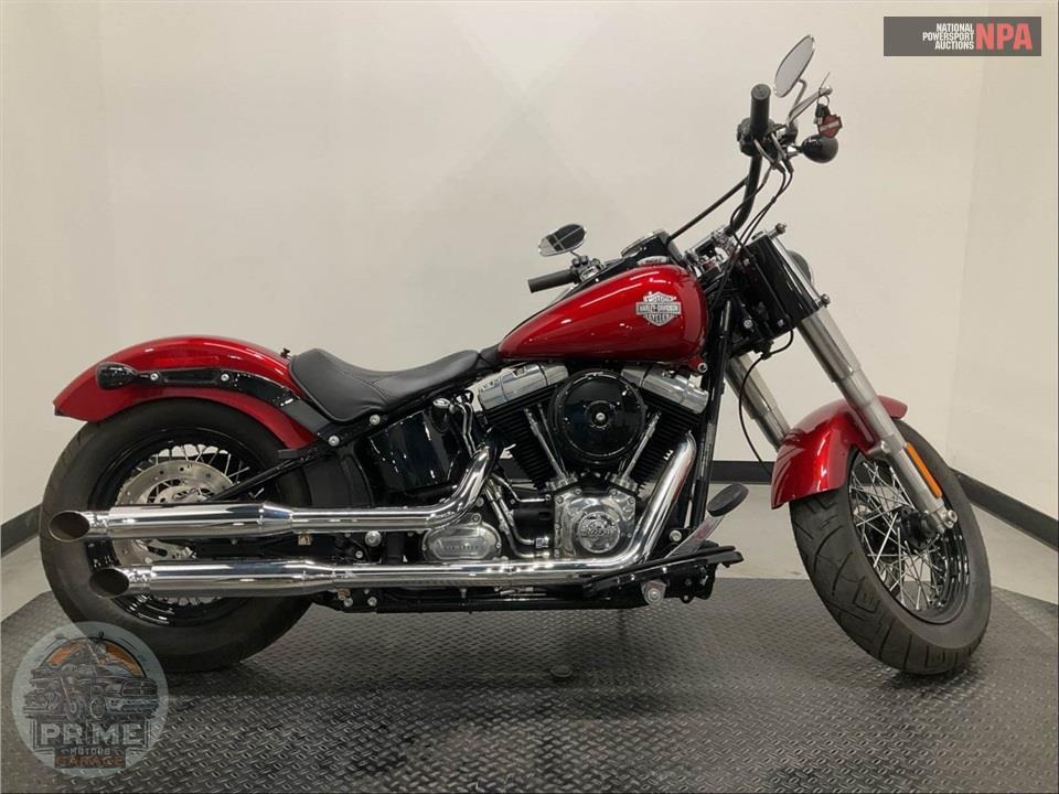 2013 Harley-Davidson FLS SOFTAIL SLIM — фото 1