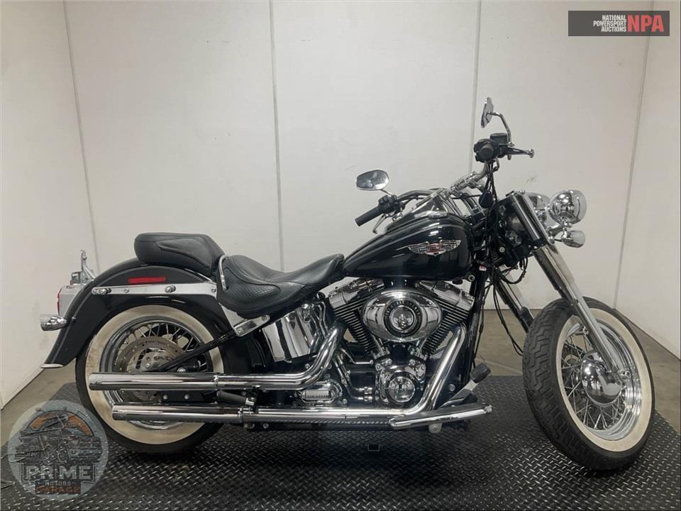 2014 Harley-Davidson FLSTN SOFTAIL DELUXE — фото 1