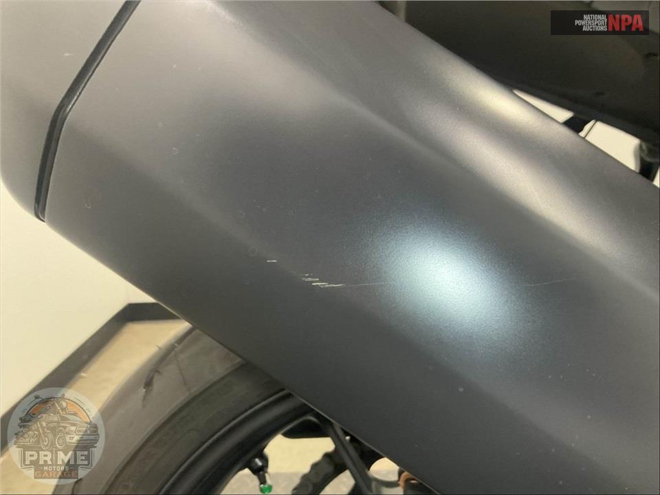2026 Harley-Davidson RA1250L PAN AMERICA — фото 10
