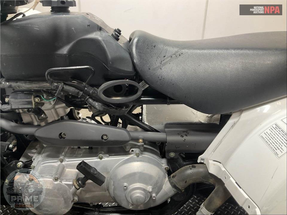 2021 Kawasaki KVF300CMFNN BRUTEFORCE — фото 17