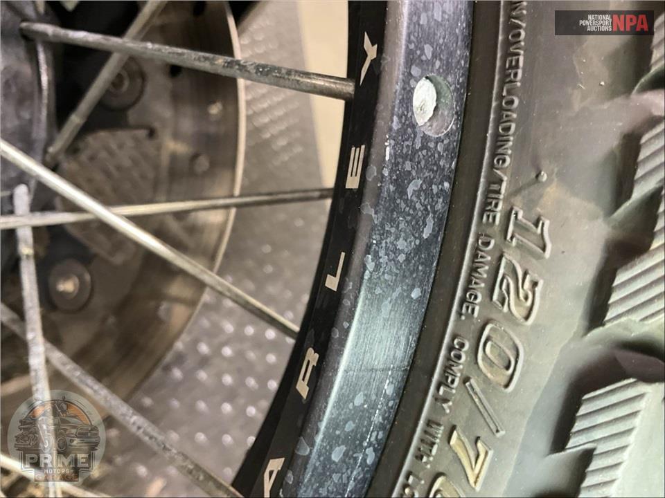 2024 Harley-Davidson RA1250S PAN AMERICA SPECIAL — фото 16