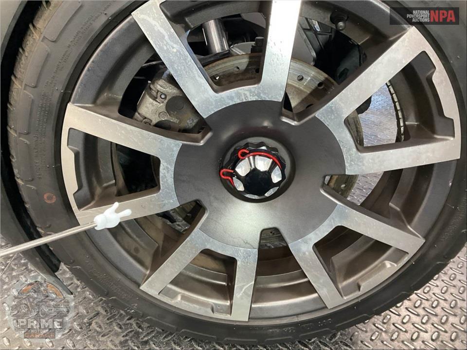 2020 Can-Am RYKER RALLY EDITION 900 ACE — фото 23