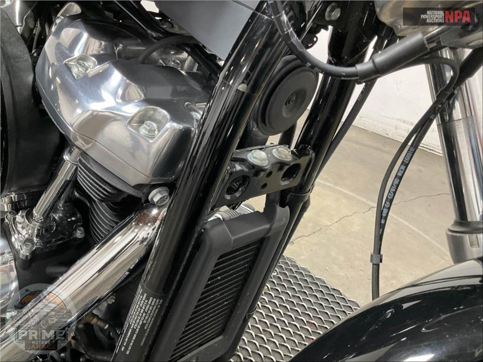 2024 Harley-Davidson FXST SOFTAIL STANDARD — фото 12