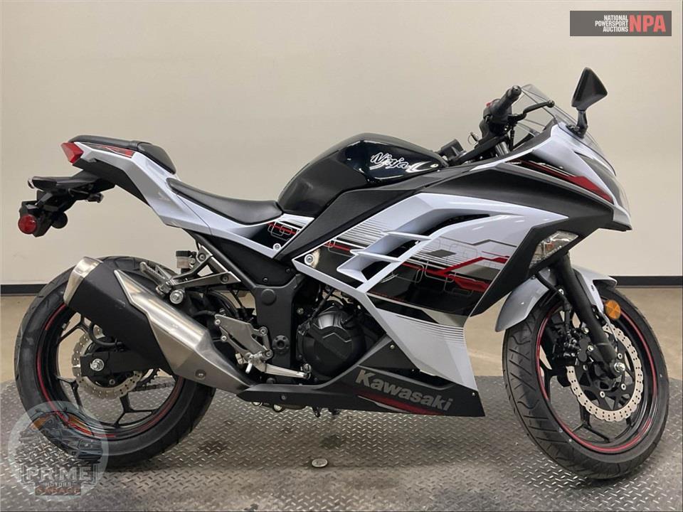 2014 Kawasaki EX300AESA NINJA 300 SPECIAL EDITION GRAPHICS — фото 1