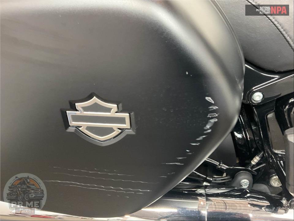 2019 Harley-Davidson FLSB SPORT GLIDE — фото 18