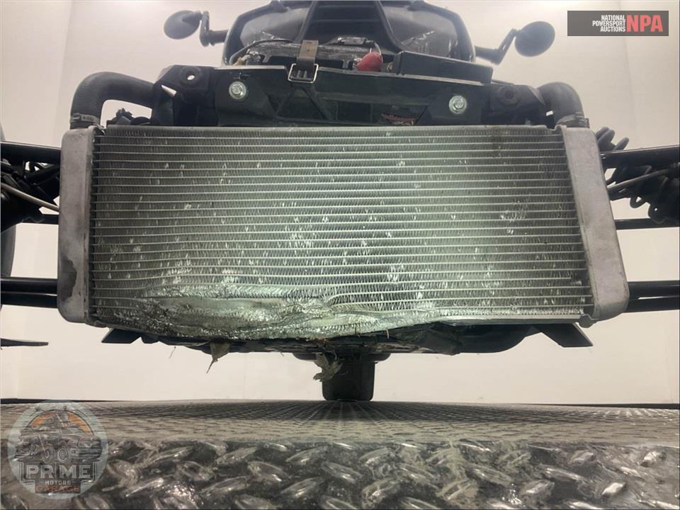 2019 Can-Am RYKER 900 ACE — фото 31