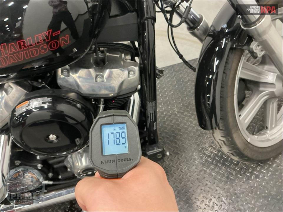 2024 Harley-Davidson FXST SOFTAIL STANDARD — фото 8
