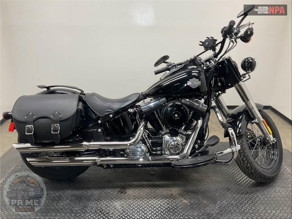 2012 Harley-Davidson FLS SOFTAIL SLIM — фото 1