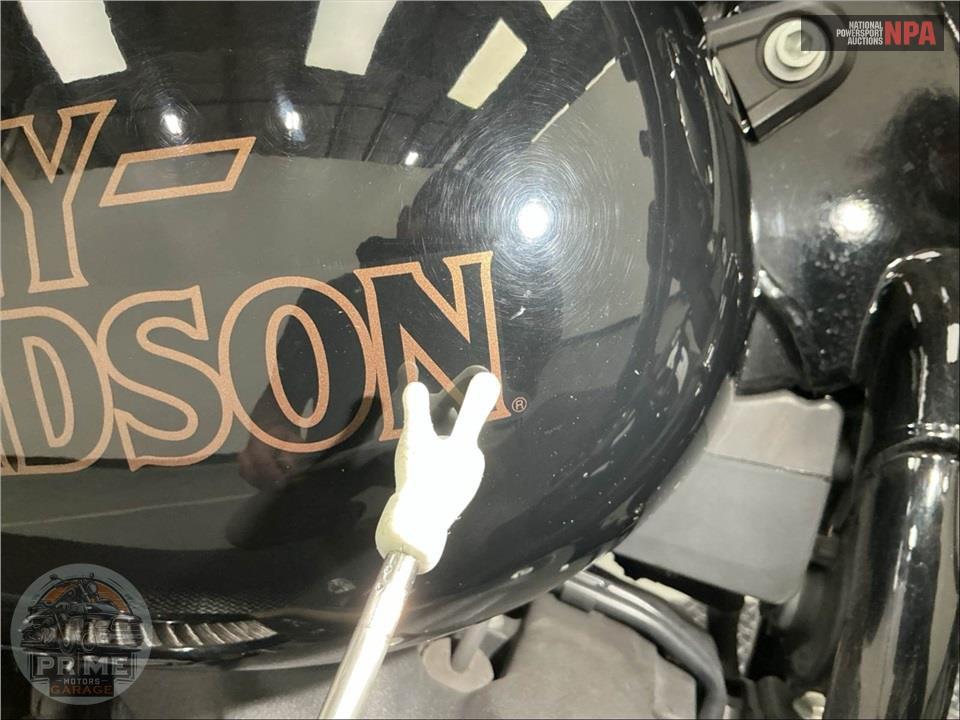 2021 Harley-Davidson FXLRS LOW RIDER S — фото 30