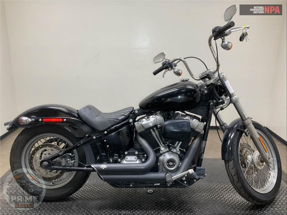 2020 Harley-Davidson FXST SOFTAIL STANDARD — фото 1