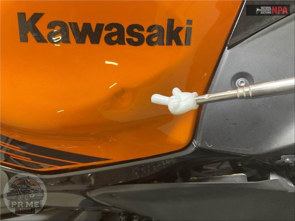 2025 Kawasaki EX650PSFAL NINJA 650 ABS — фото 24
