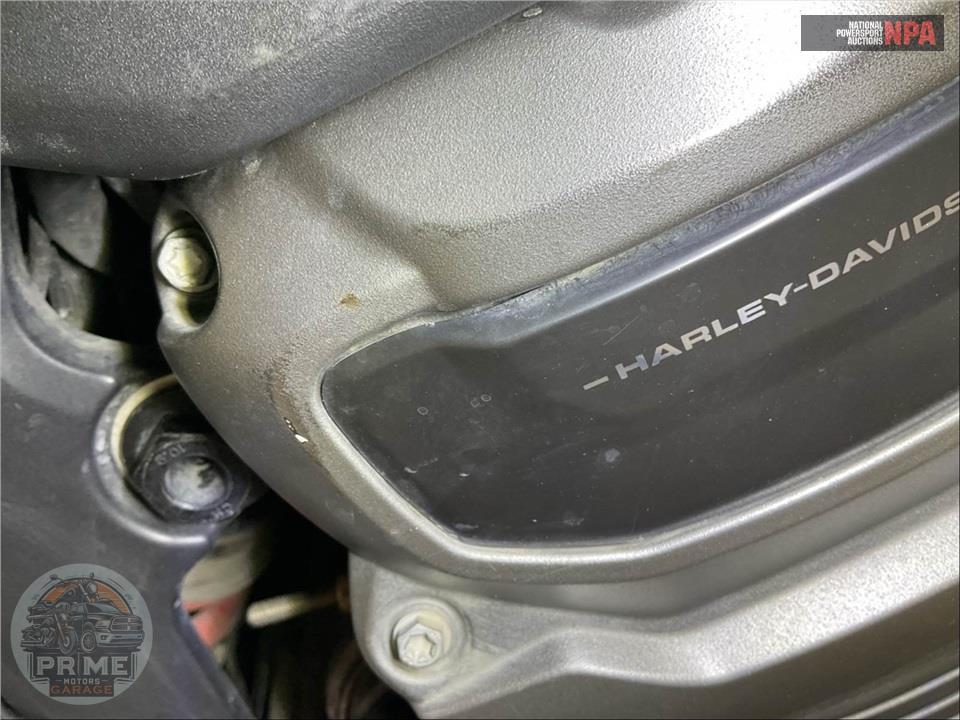 2022 Harley-Davidson RA1250S PAN AMERICA 1250 SPECIAL — фото 11