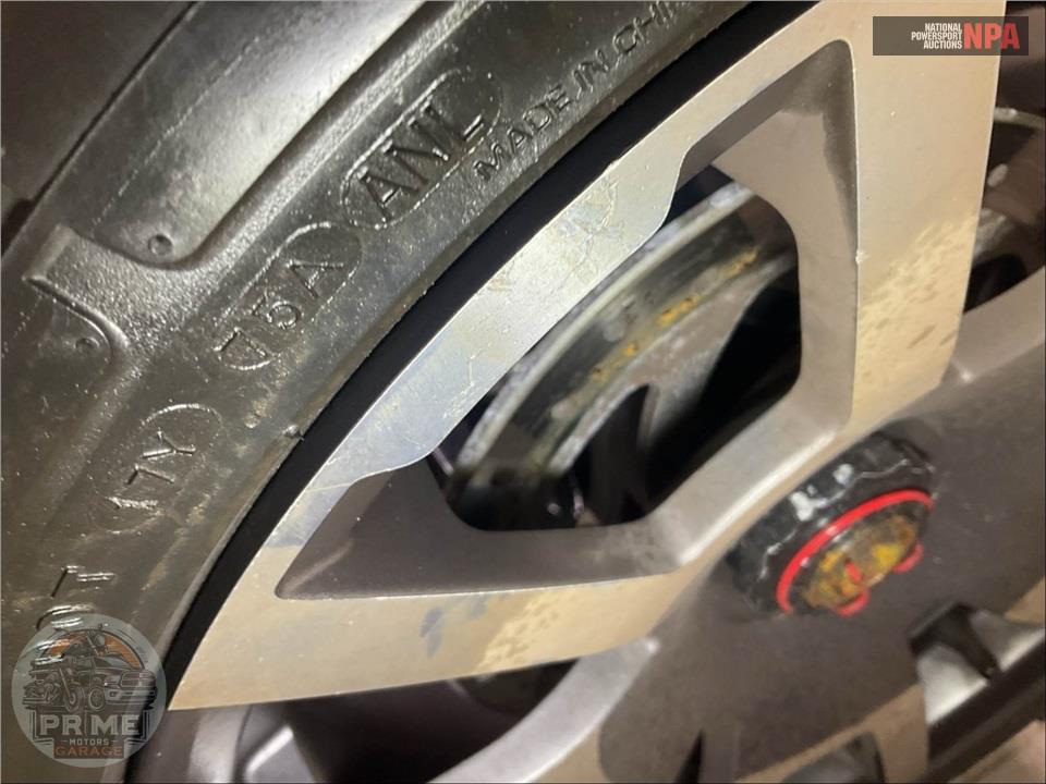 2020 Can-Am RYKER RALLY EDITION 900 ACE — фото 16