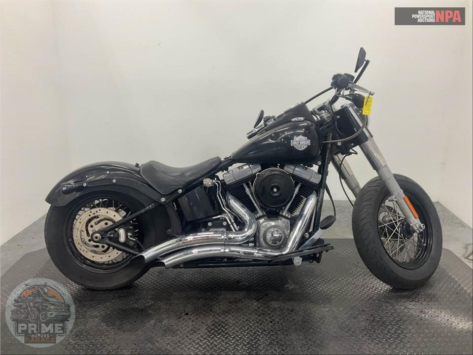 2015 Harley-Davidson FLS SOFTAIL SLIM — фото 1