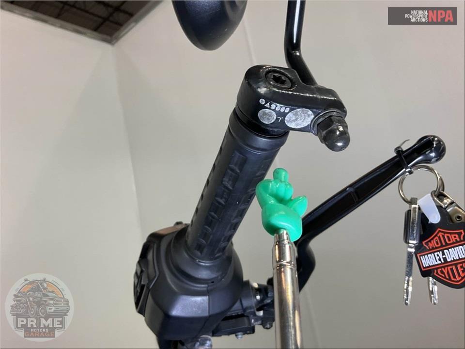2022 Harley-Davidson RH975 NIGHTSTER — фото 26