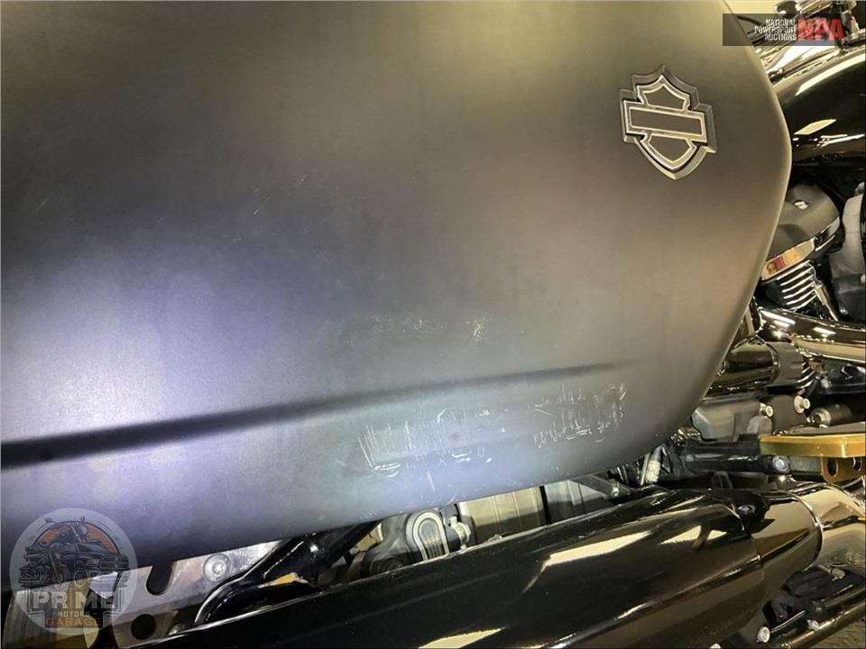 2019 Harley-Davidson FLSB SPORT GLIDE — фото 29