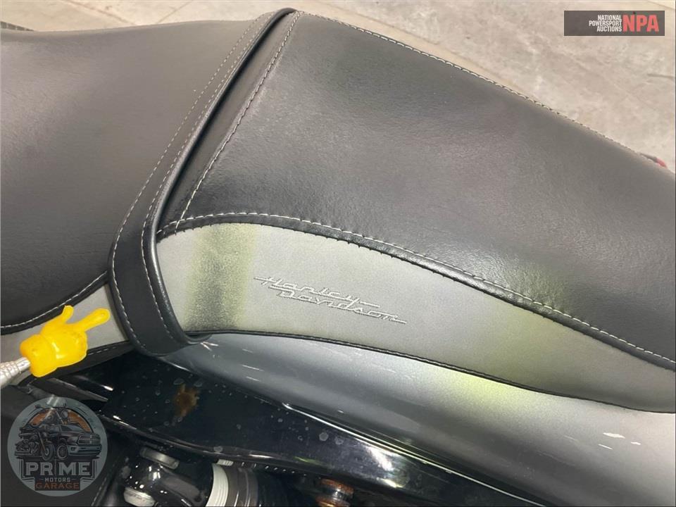2020 Harley-Davidson XL1200NS IRON — фото 19