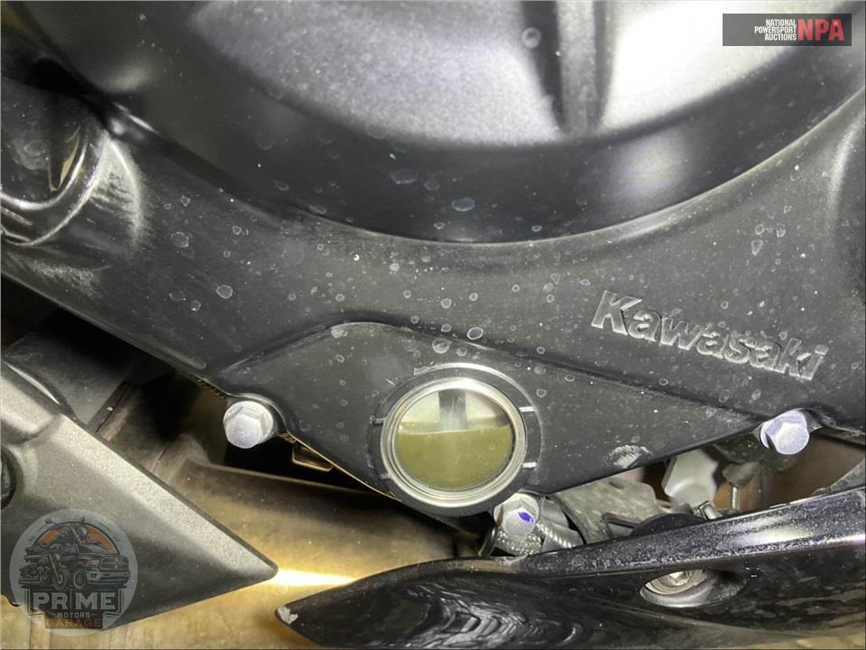 2025 Kawasaki EX650PSFAL NINJA 650 ABS — фото 6
