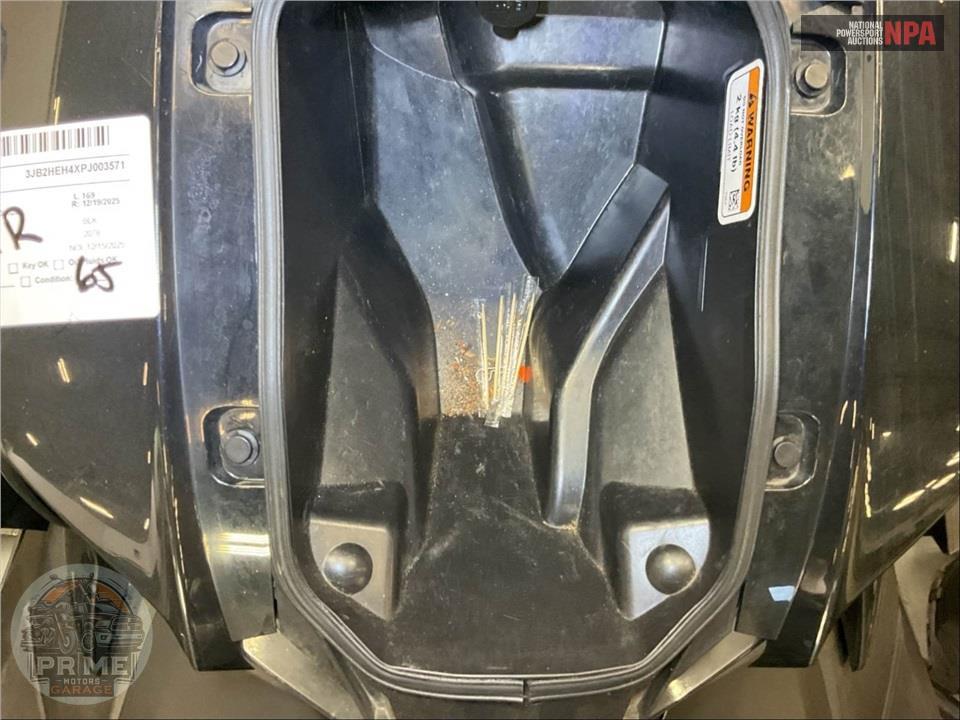 2023 Can-Am RYKER RALLY 900 ACE — фото 12