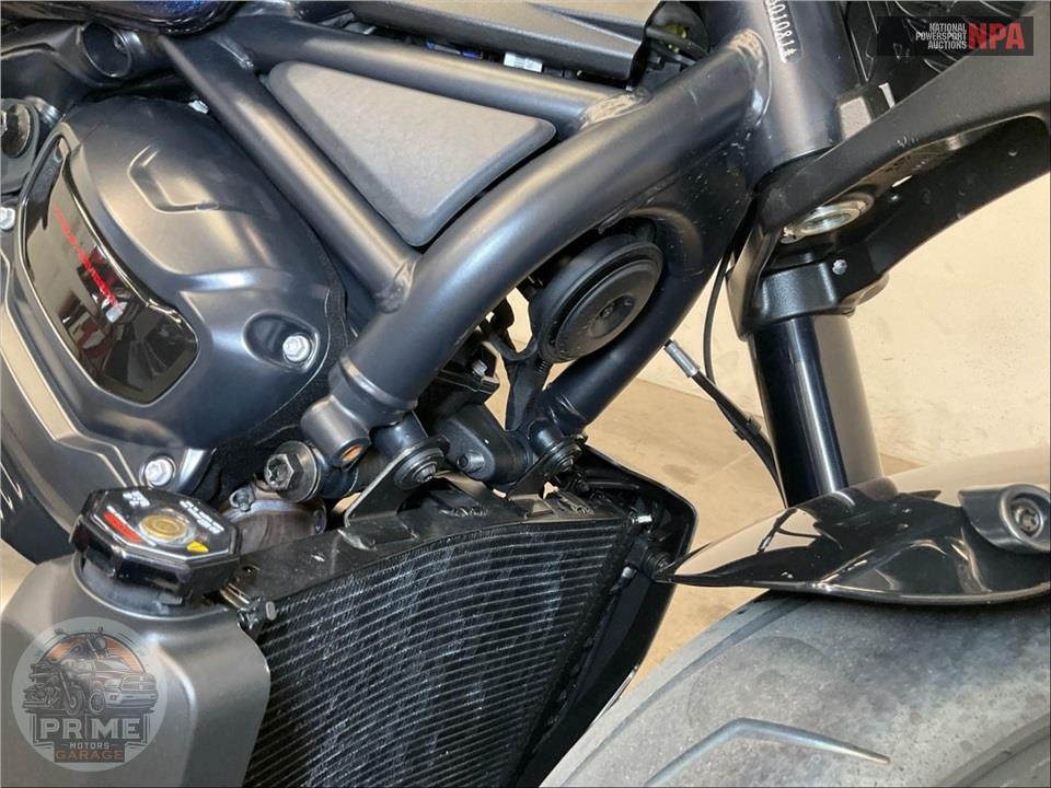 2025 Harley-Davidson RH1250S SPORTSTER S — фото 11