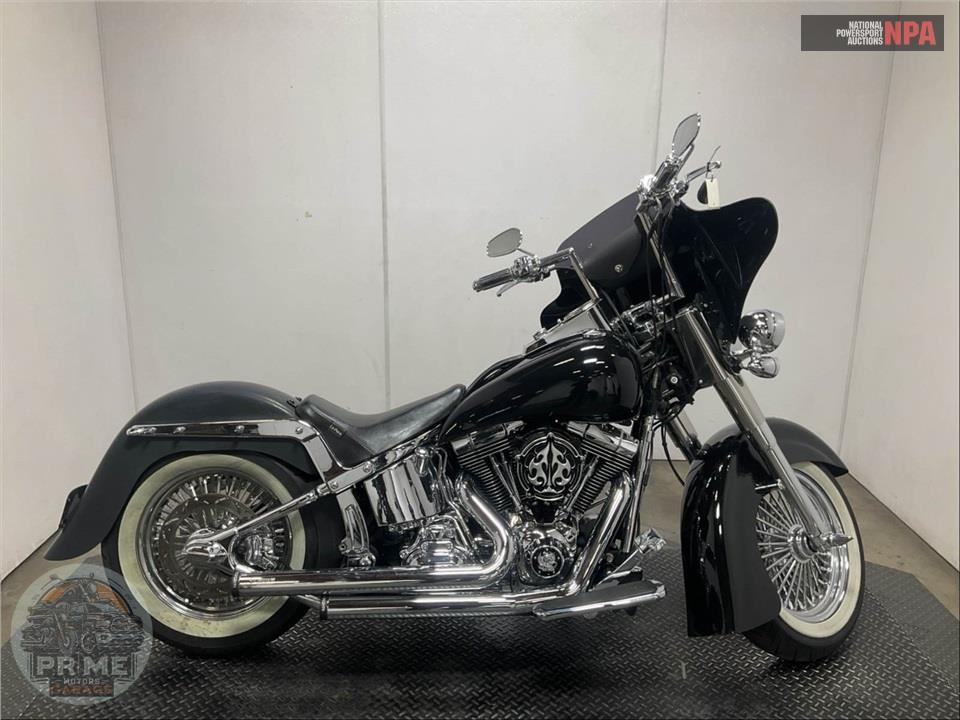 2015 Harley-Davidson FLSTN SOFTAIL DELUXE — фото 1