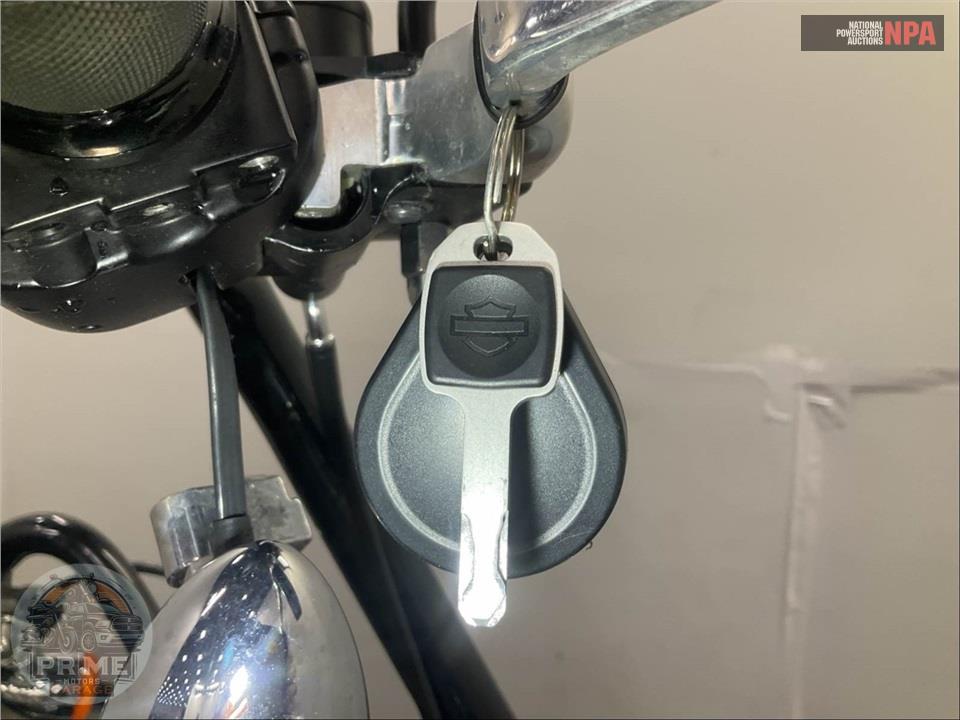 2021 Harley-Davidson FLSB SPORT GLIDE — фото 11