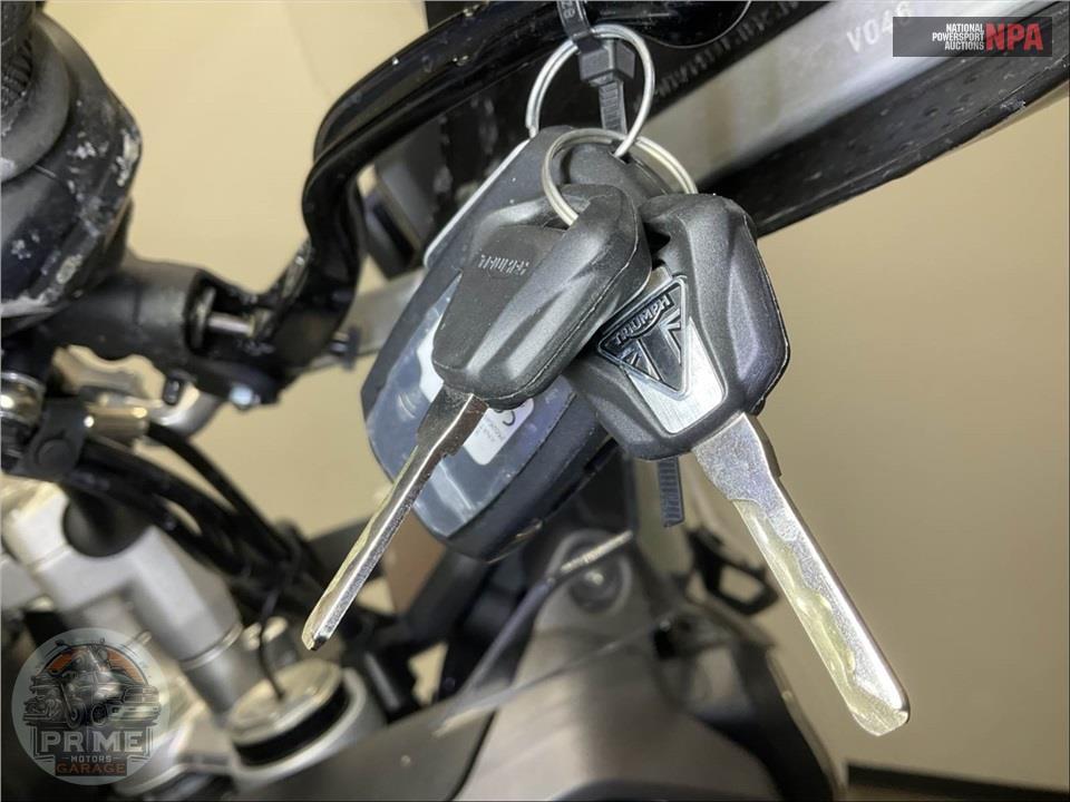2025 Triumph TIGER 1200 GT PRO — фото 6