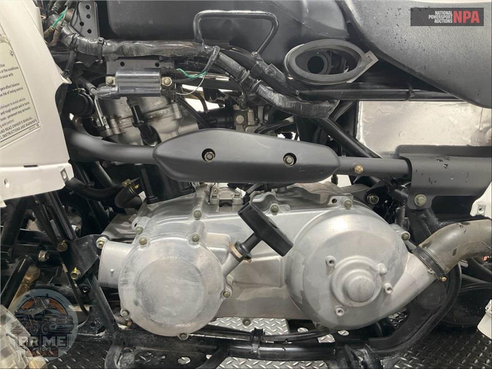 2021 Kawasaki KVF300CMFNN BRUTEFORCE — фото 8