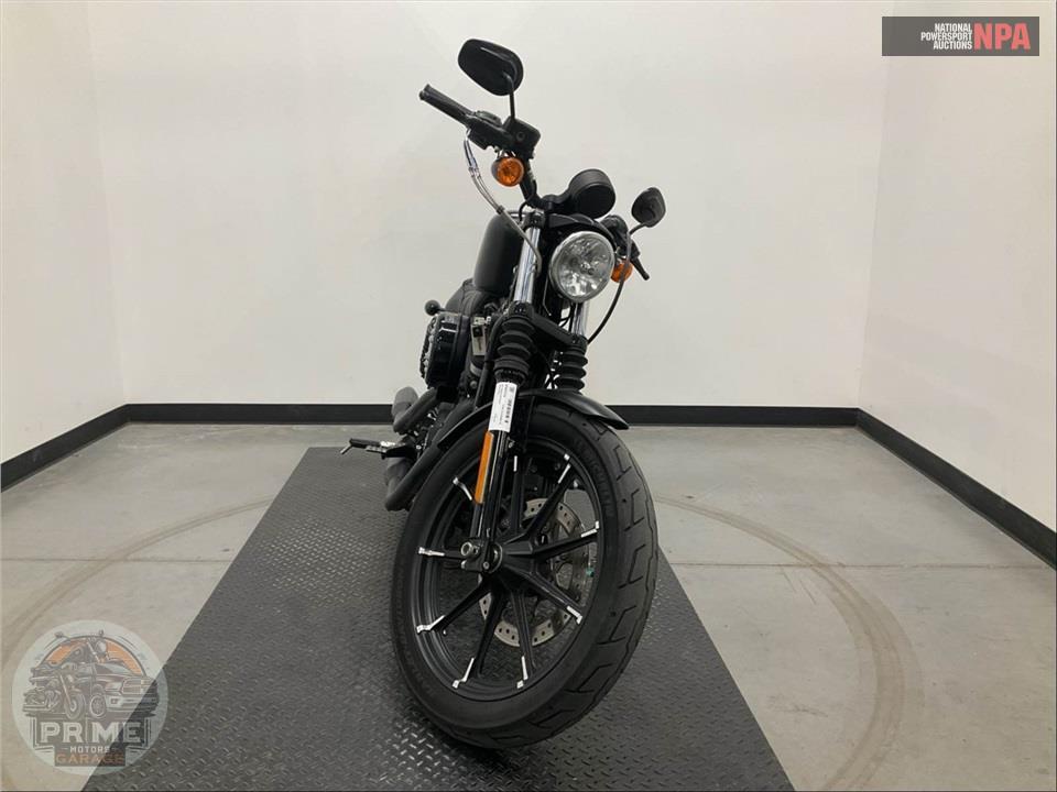 2021 Harley-Davidson XL883N IRON — фото 2