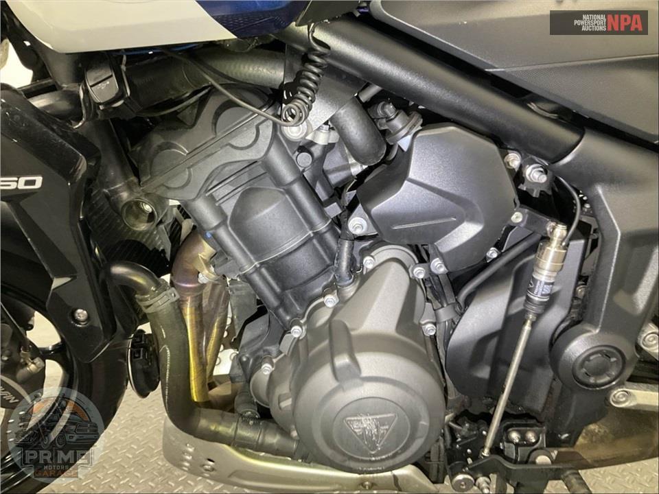 2025 Triumph TRIDENT 660 TRIPLE TRIBUTE EDITION — фото 9