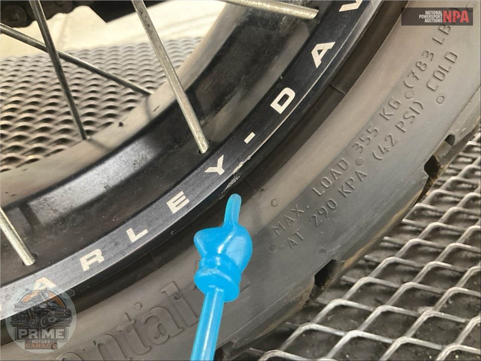 2022 Harley-Davidson RA1250S PAN AMERICA 1250 SPECIAL — фото 18