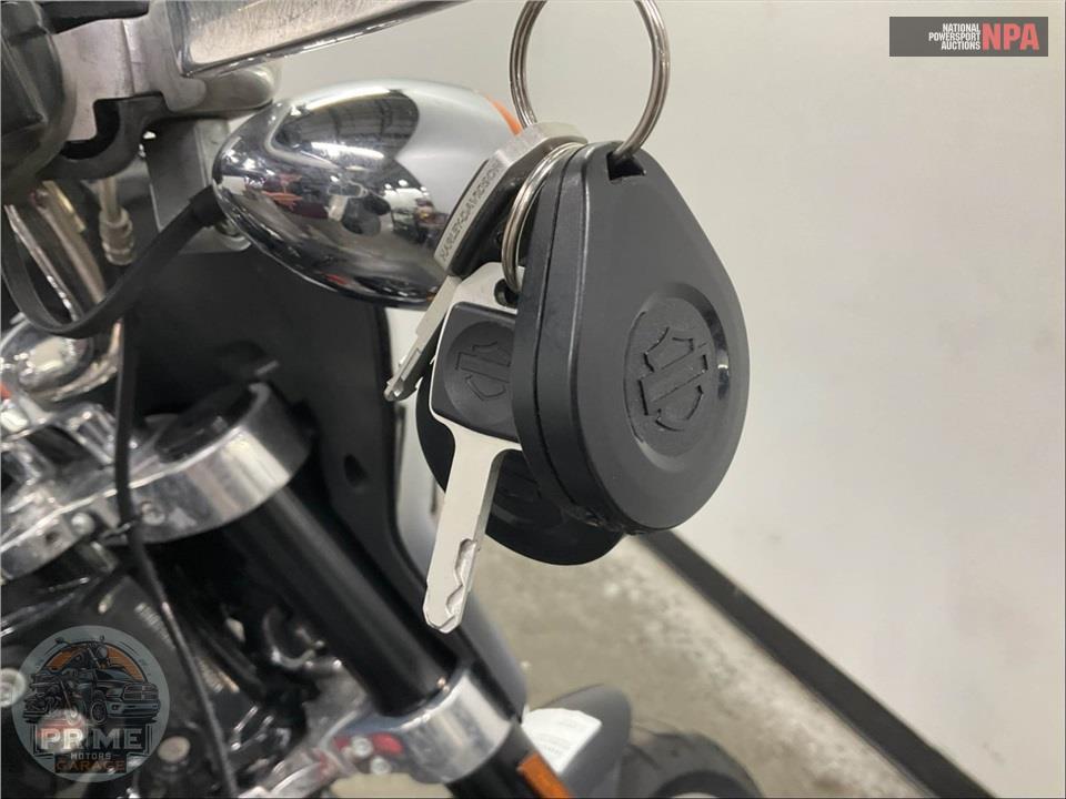 2019 Harley-Davidson FLSB SPORT GLIDE — фото 12