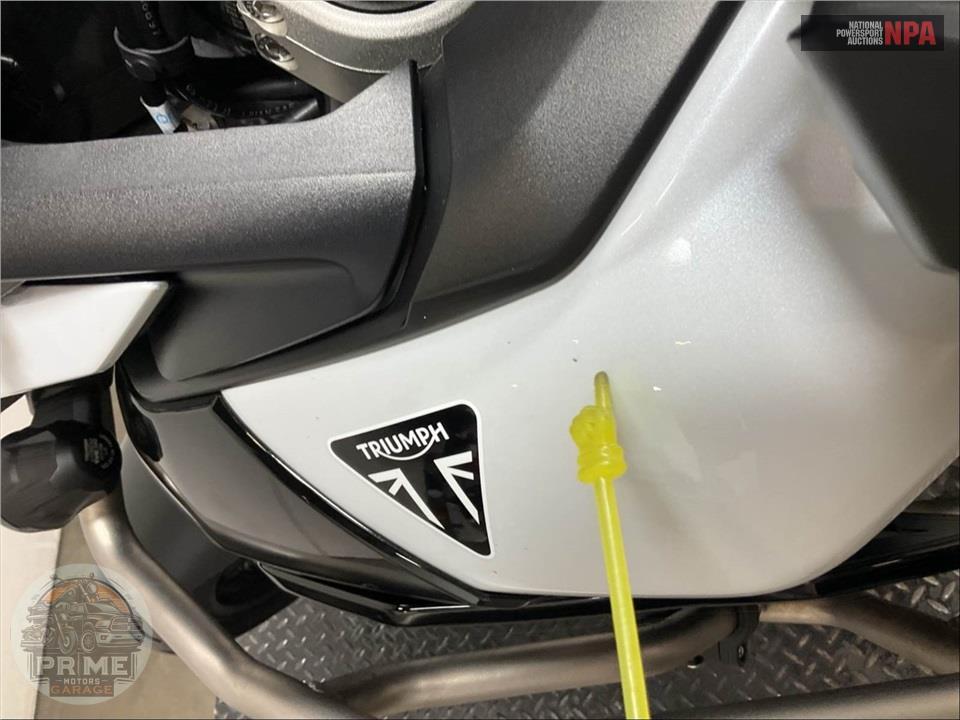 2024 Triumph TIGER 900 GT (TWO TONE) — фото 13